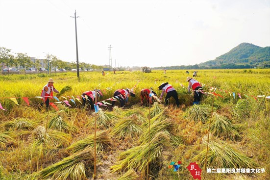惠州惠陽(yáng)今年已投600萬(wàn)元補(bǔ)貼水稻種植