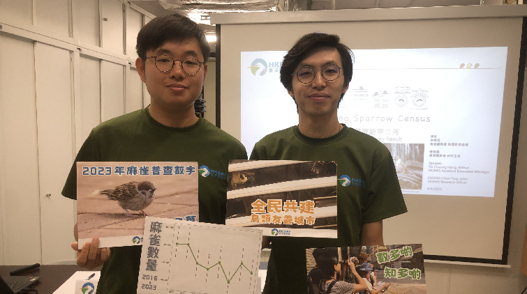 本港有約24.3萬隻麻雀 香港觀鳥會(huì)籲市民共建鳥類友善城市