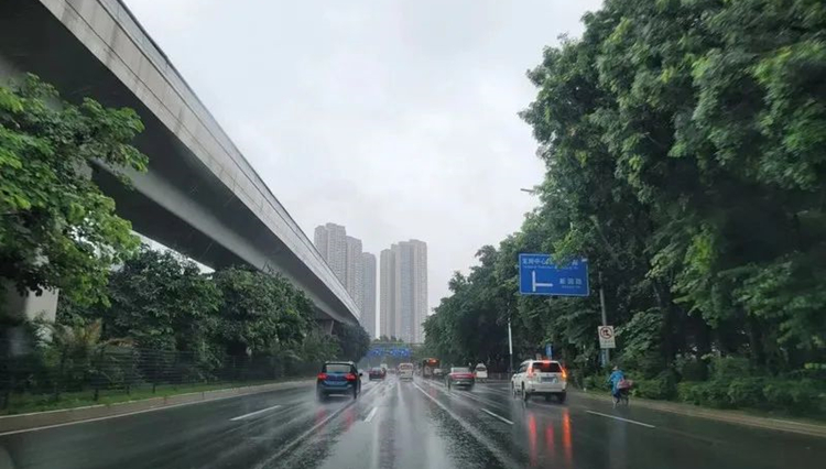 「滑動雨量」、「列車效應(yīng)」，暴雨天深圳各方運行有序