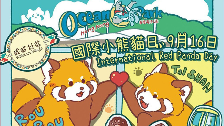海洋公園「國(guó)際小熊貓日」大派粉絲福利（附詳情）
