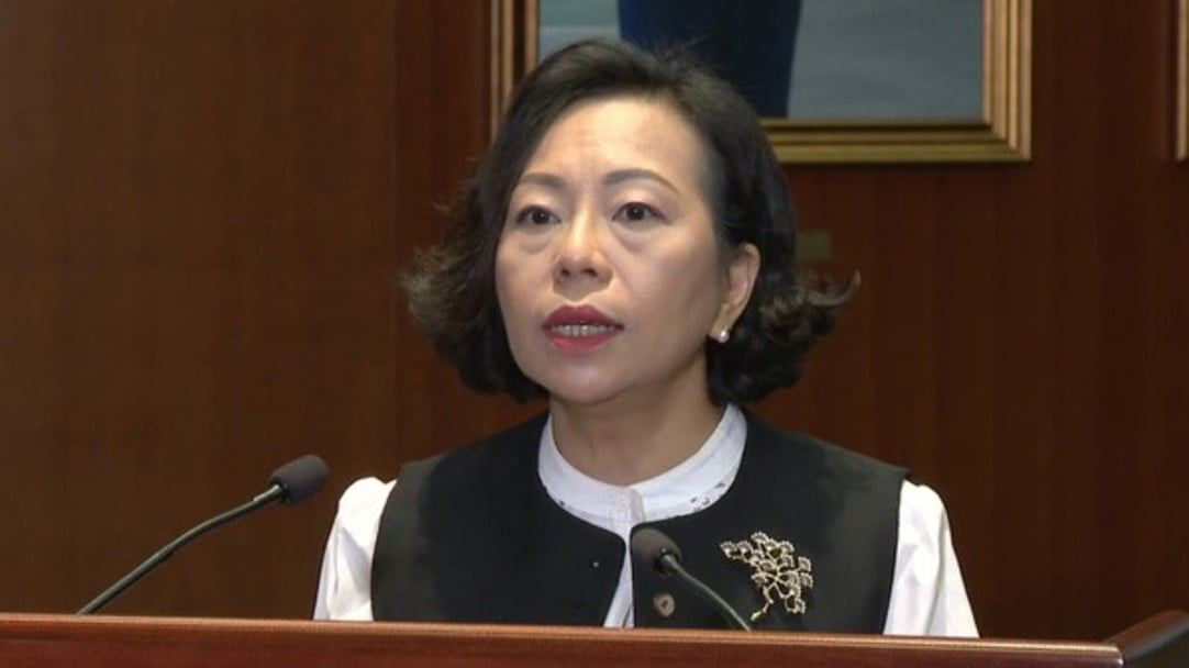 麥美娟：逾百萬(wàn)選民區(qū)選投票 顯示市民非常支持