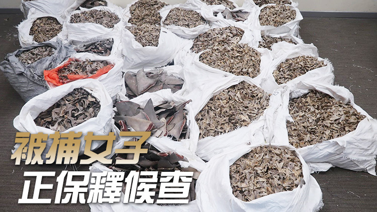 海關(guān)機(jī)場(chǎng)檢約800公斤懷疑受管制乾魚翅 拘1人