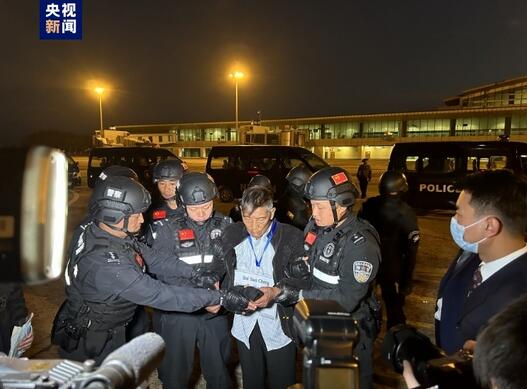 公安部：白所成魏懷仁等10名緬北重大犯罪嫌疑人被成功押解回國(guó)