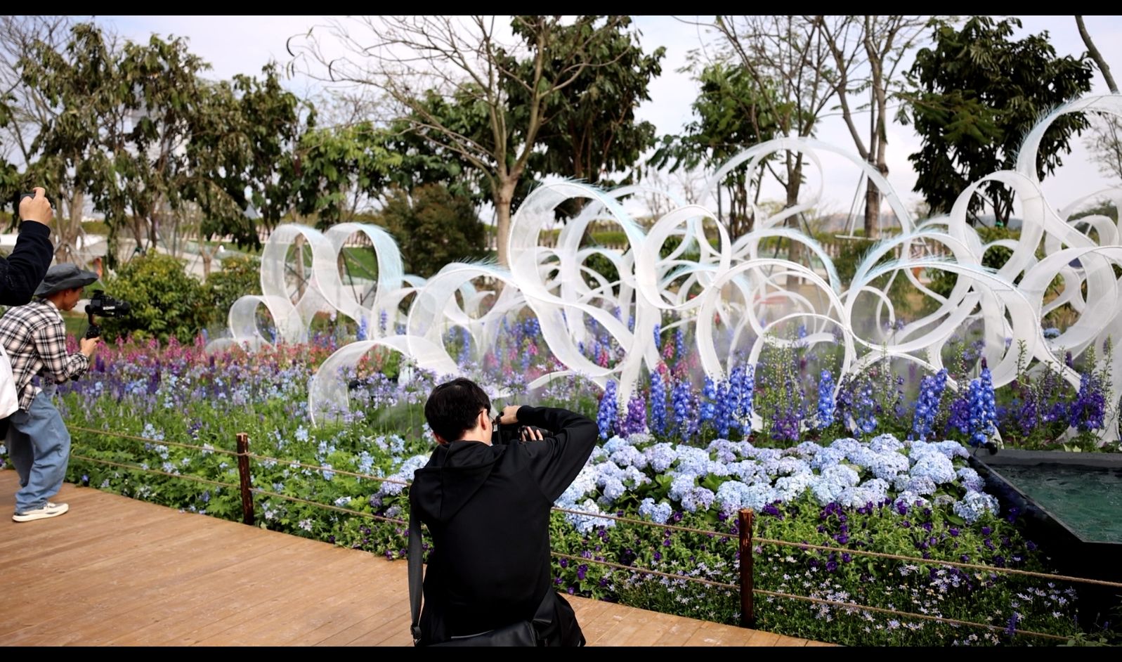 綠美灣區(qū)，詩(shī)意繁花丨2024粵港澳大灣區(qū)花展啟幕