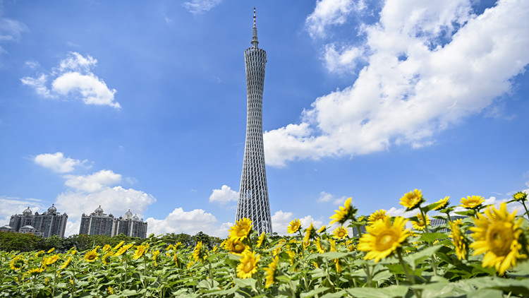 廣東出臺方案助力高質(zhì)量「灣區(qū)標(biāo)準(zhǔn)」發(fā)布實施