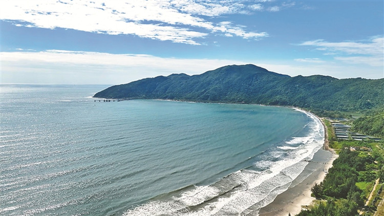 深汕都有啥好玩？陽(yáng)光沙灘海浪還有仙人掌