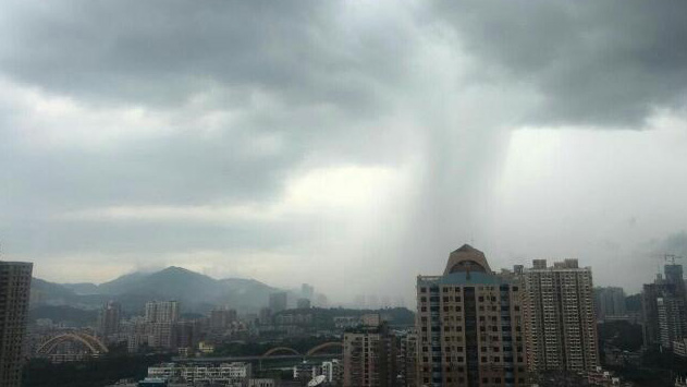 深圳分區(qū)暴雨橙色預(yù)警信號(hào)生效中！