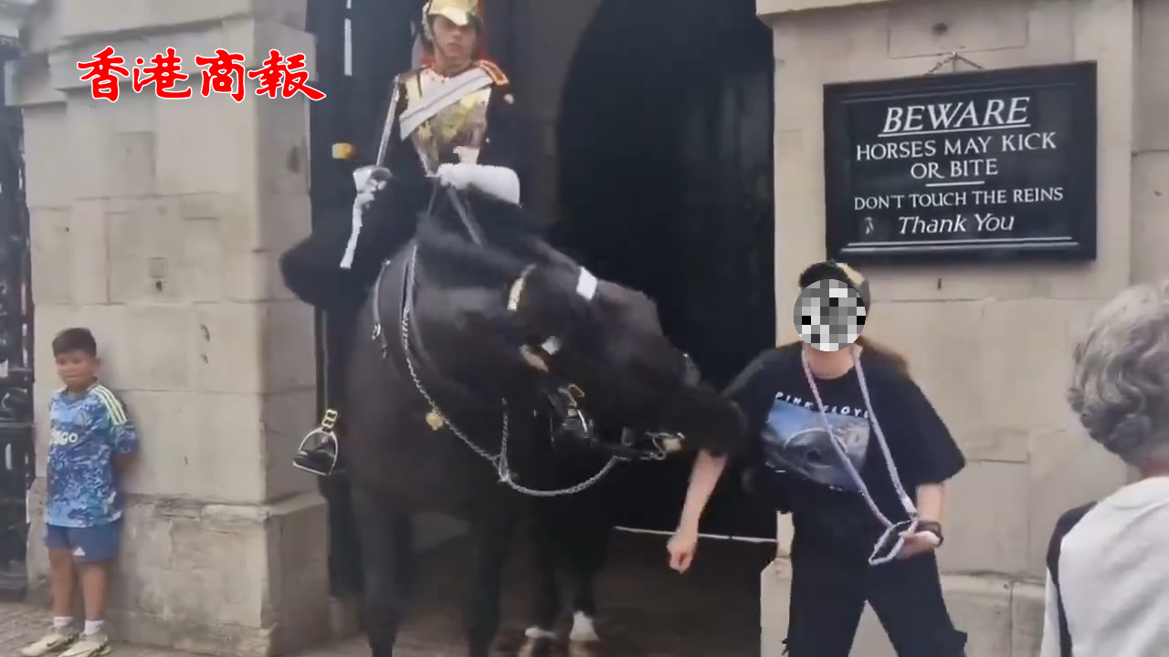 有片丨女子與英國(guó)國(guó)王護(hù)衛(wèi)馬合照時(shí)被咬傷 致其昏倒