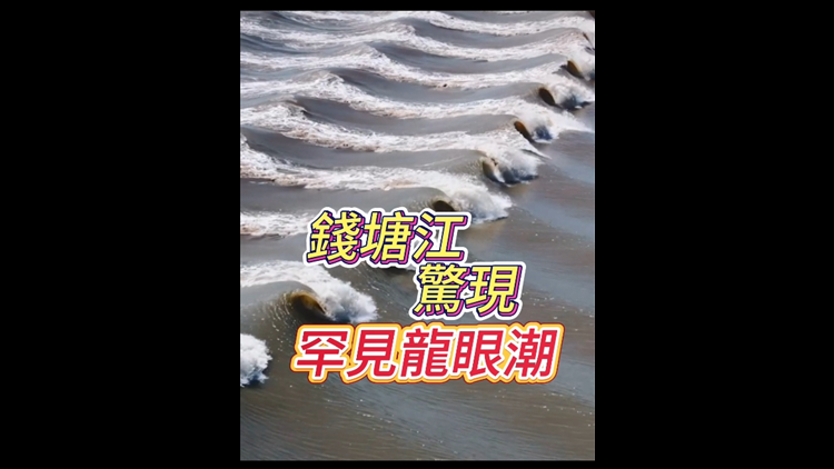 有片丨罕見！錢塘江驚現(xiàn)「龍眼潮」