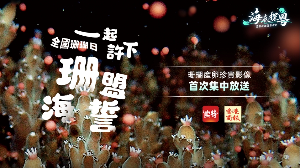 直播｜全國珊瑚日，一起許下「珊」盟海誓！