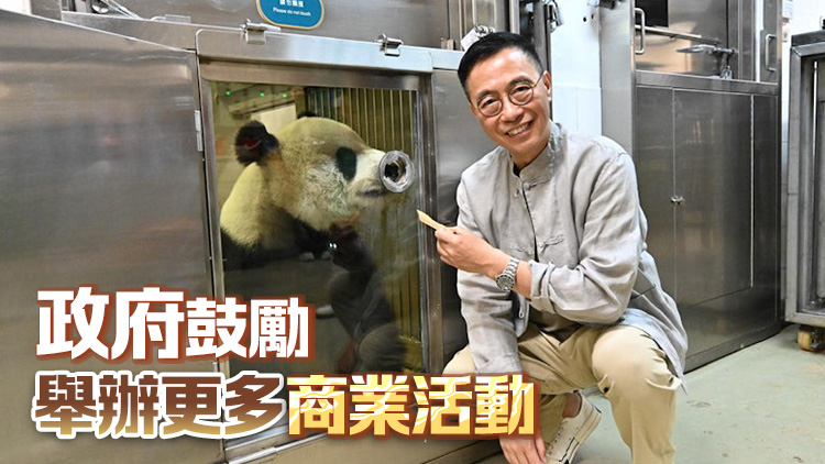 全城掀大熊貓熱潮 楊潤雄：冀帶動本港經(jīng)濟