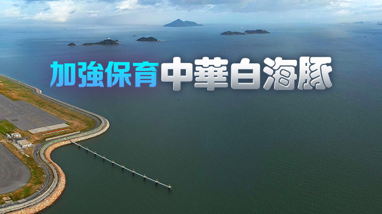 北大嶼海岸公園1日成立 漁護(hù)署：面積本港最大