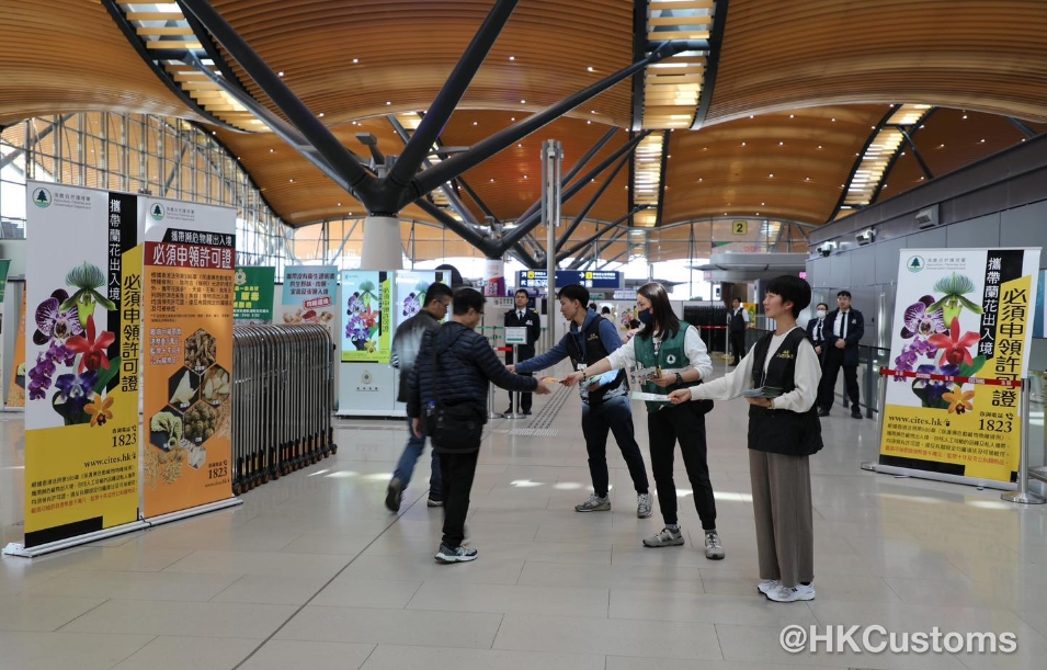 海關(guān)：蘭花屬瀕危物種受管制 市民切勿攜帶進港