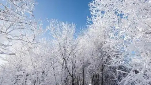 雨雪範(fàn)圍或波及全國！節(jié)前大寒潮將至 春運返鄉(xiāng)需警惕