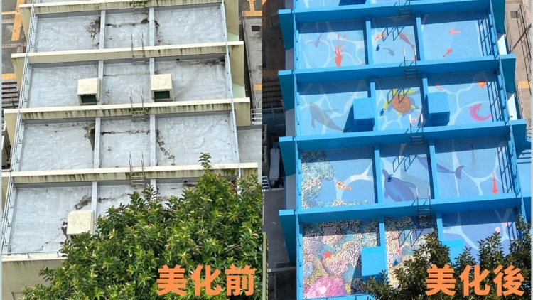 有片丨漁灣社區(qū)會(huì)堂大變身「水族館」