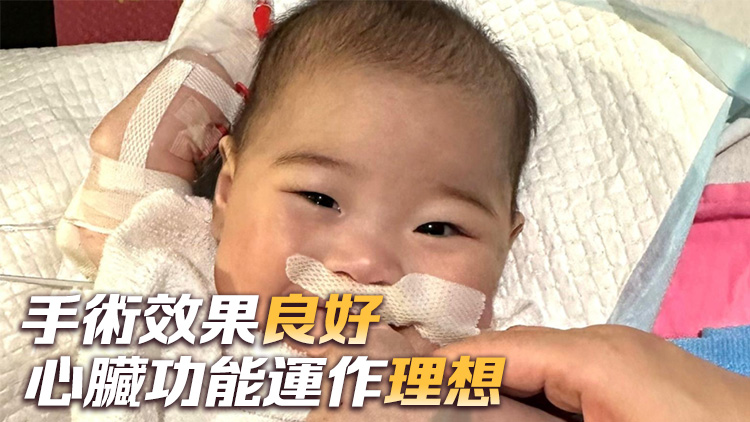 女?huà)肫砥硪浦彩中g(shù)順利 18個(gè)內(nèi)地部門(mén)配合將心臟運(yùn)抵香港
