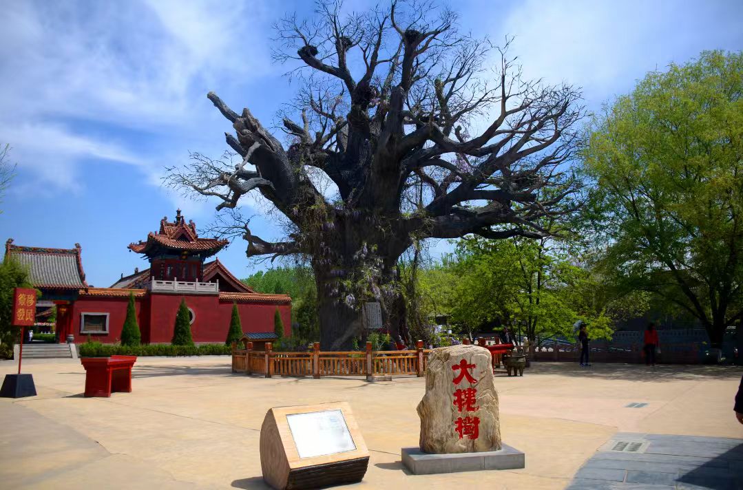 招商引資風(fēng)向標(biāo)丨山西臨汾：2024年簽約招商引資項(xiàng)目308個(gè) 總投資逾1729億元