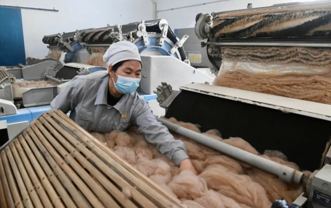 新疆玉泰駝絨提升企業(yè)品牌影響力 做研發(fā)、提品質(zhì)