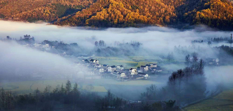 風(fēng)景照成柯村「招貼畫(huà)」——一個(gè)土菜館老闆鏡頭裏的鄉(xiāng)愁與眷戀