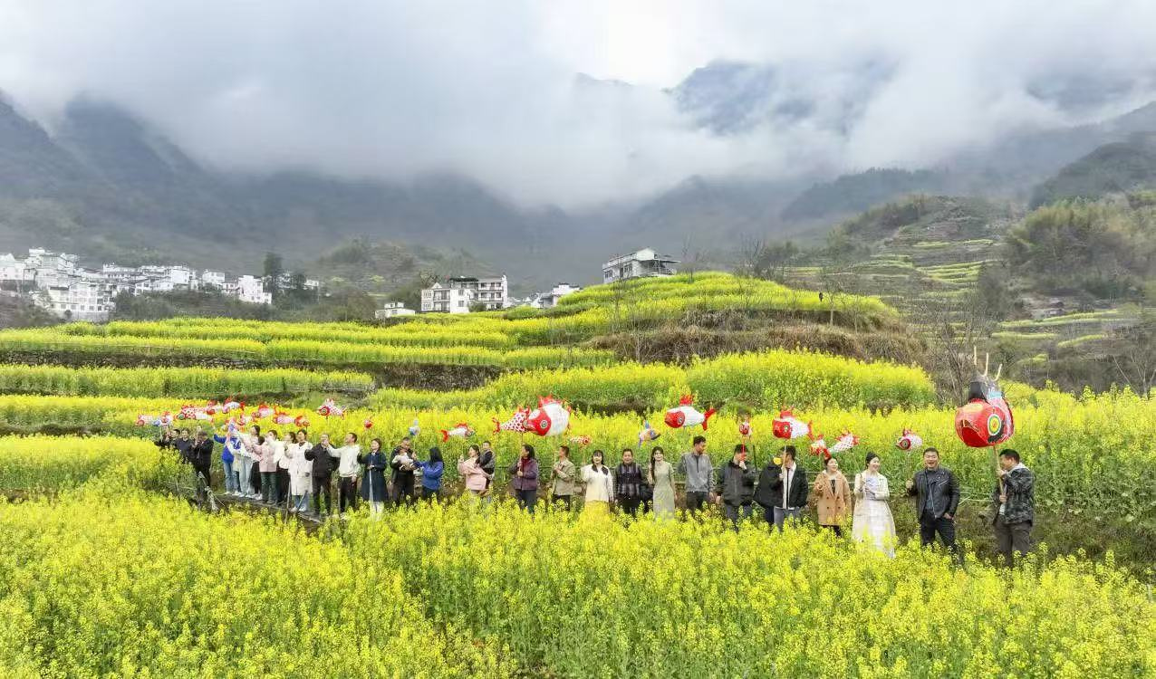 皖歙縣：非遺魚(yú)燈舞動(dòng)梯田花海
