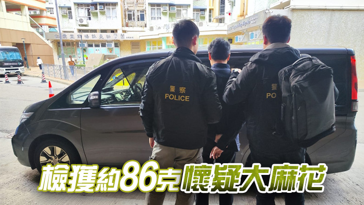 警方將軍澳反毒品行動(dòng) 拘一男檢2.2萬元大麻花