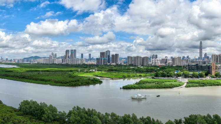 深圳銀行業(yè)總資產超13萬億元