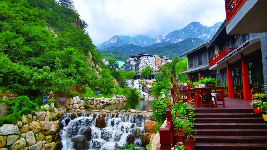 「登山助力機(jī)械人」帶記者登頂泰山！