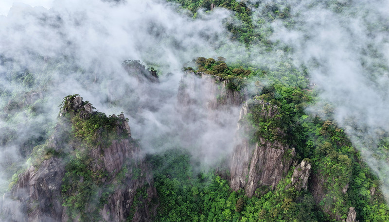 有片|初夏黃山行 邂逅夢(mèng)幻奇景